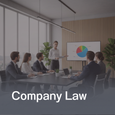 company law