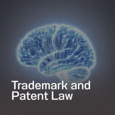 trademark law